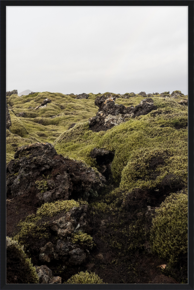 Lava Rock and Moss - I