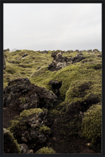 Load image into Gallery viewer, Lava Rock and Moss - I
