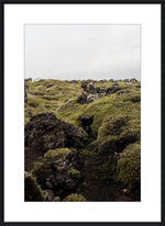 Load image into Gallery viewer, Lava Rock and Moss - I
