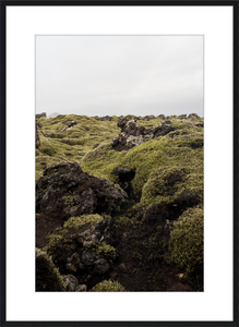 Lava Rock and Moss - I