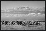 Load image into Gallery viewer, The Elephants of Mt. Kilimanjaro - I
