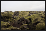 Load image into Gallery viewer, Lava Rock and Moss - II
