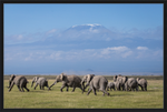 Load image into Gallery viewer, The Elephants of Mt. Kilimanjaro - II
