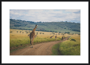 Masai Mara Rush Hour