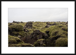 Lava Rock and Moss - II