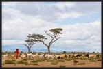 Load image into Gallery viewer, Masai Goat Herder
