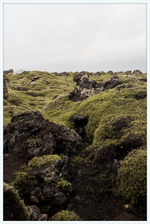 Load image into Gallery viewer, Lava Rock and Moss - I
