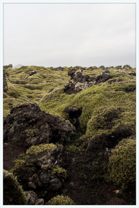 Lava Rock and Moss - I