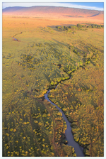 Load image into Gallery viewer, Masai Mara Magic
