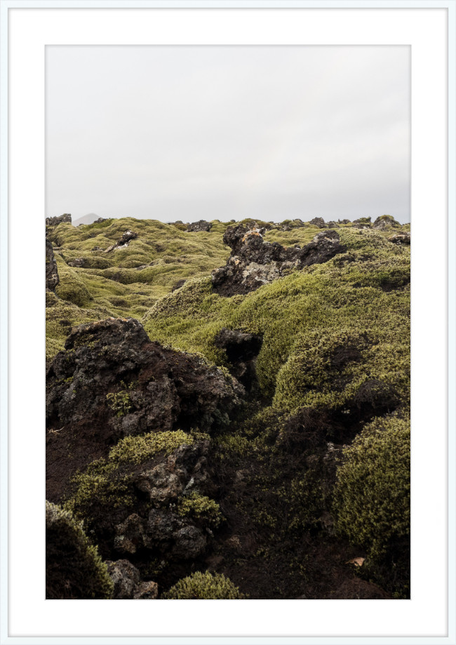 Lava Rock and Moss - I