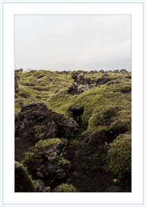 Lava Rock and Moss - I