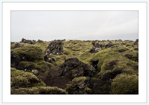 Lava Rock and Moss - II