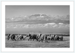 Load image into Gallery viewer, The Elephants of Mt. Kilimanjaro - I
