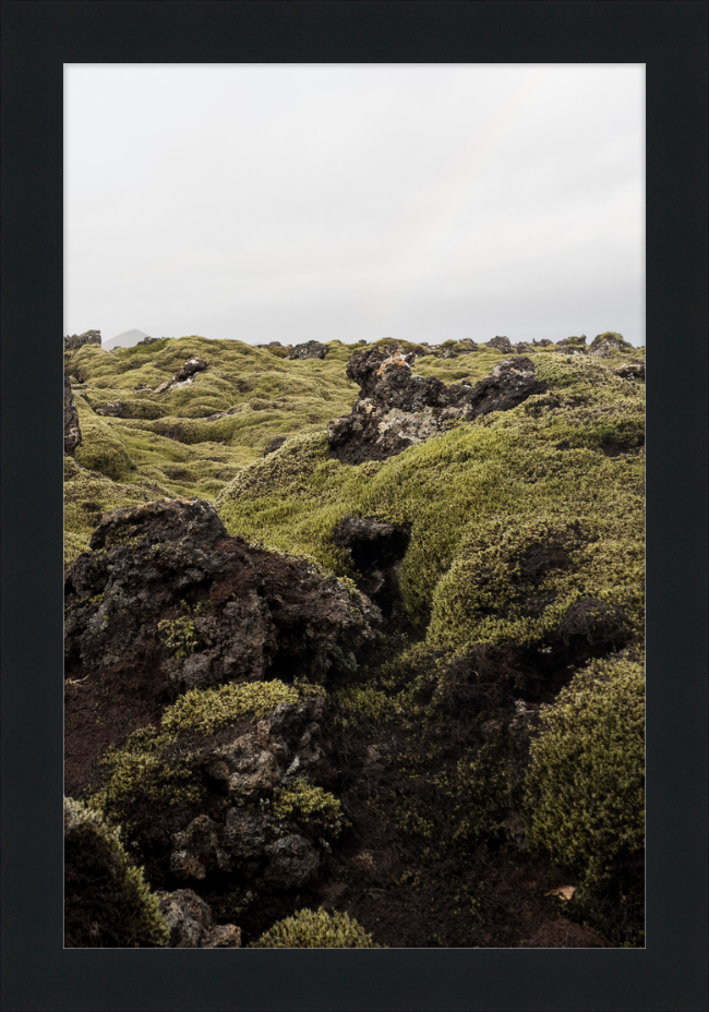 Lava Rock and Moss - I