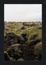 Load image into Gallery viewer, Lava Rock and Moss - I
