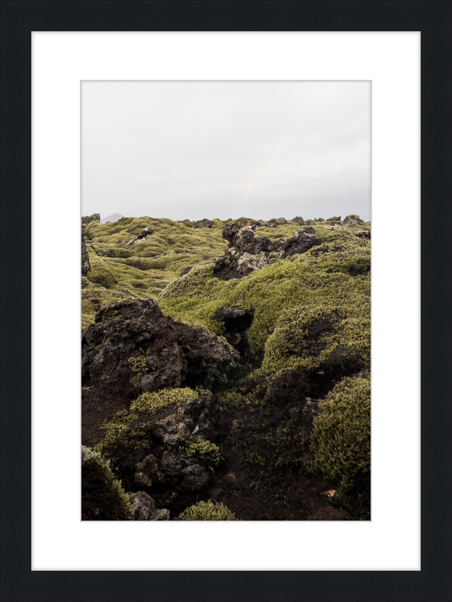 Lava Rock and Moss - I