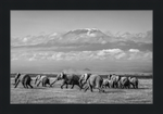 Load image into Gallery viewer, The Elephants of Mt. Kilimanjaro - I
