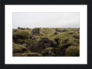 Lava Rock and Moss - II