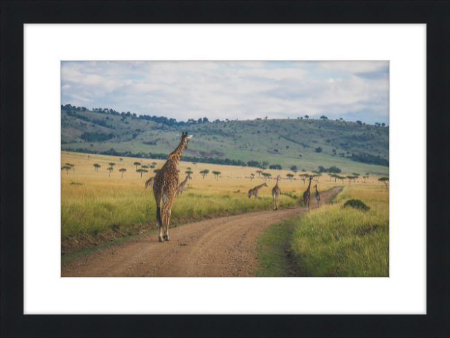 Masai Mara Rush Hour