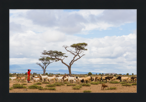 Masai Goat Herder