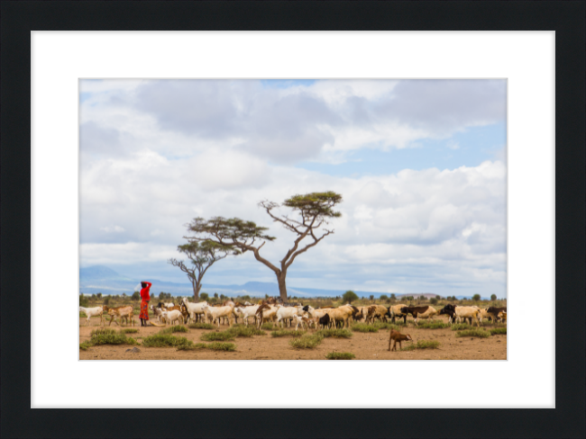 Masai Goat Herder