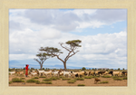 Load image into Gallery viewer, Masai Goat Herder
