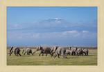 Load image into Gallery viewer, The Elephants of Mt. Kilimanjaro - II
