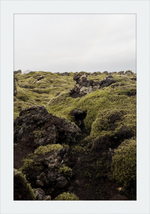 Load image into Gallery viewer, Lava Rock and Moss - I
