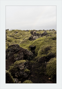 Lava Rock and Moss - I