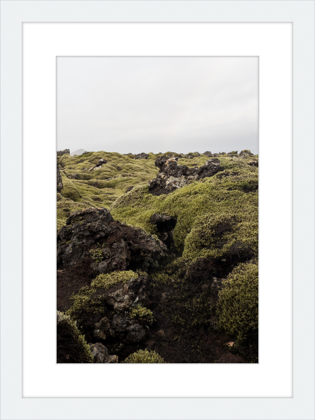 Lava Rock and Moss - I