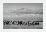 Load image into Gallery viewer, The Elephants of Mt. Kilimanjaro - I
