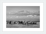 Load image into Gallery viewer, The Elephants of Mt. Kilimanjaro - I
