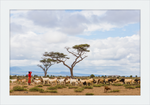 Load image into Gallery viewer, Masai Goat Herder
