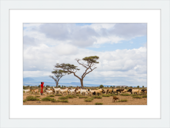 Masai Goat Herder