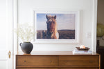 Load image into Gallery viewer, Icelandic Companion
